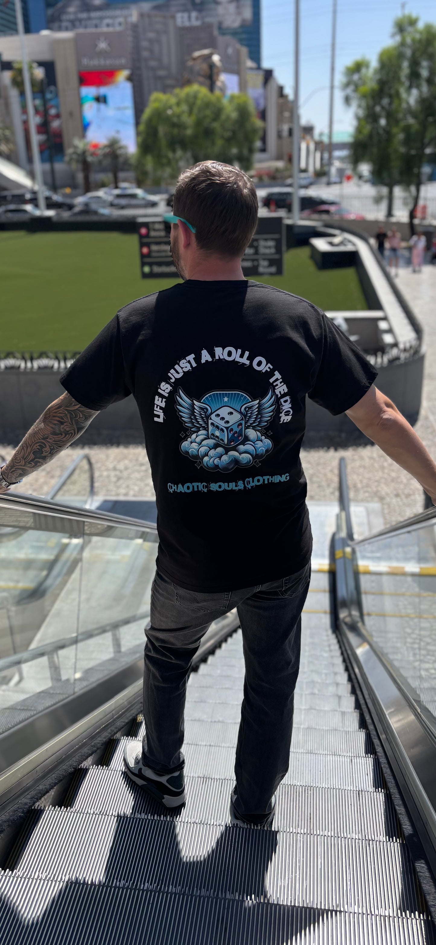 Life is just a role of the dice T shirt